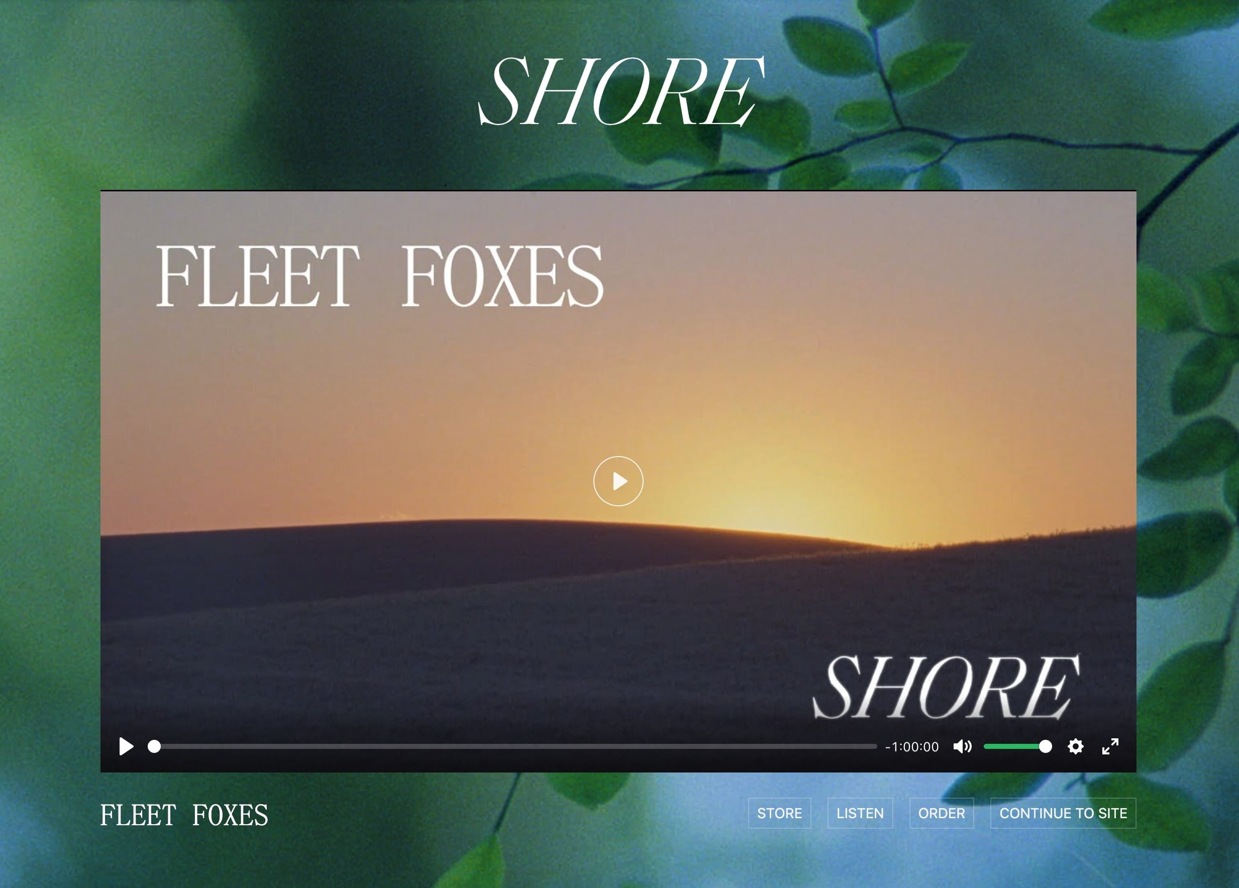 Fleet Foxes website